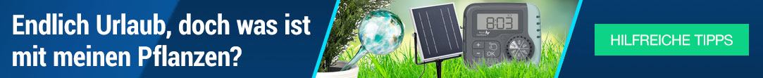 Bewässerungstipps