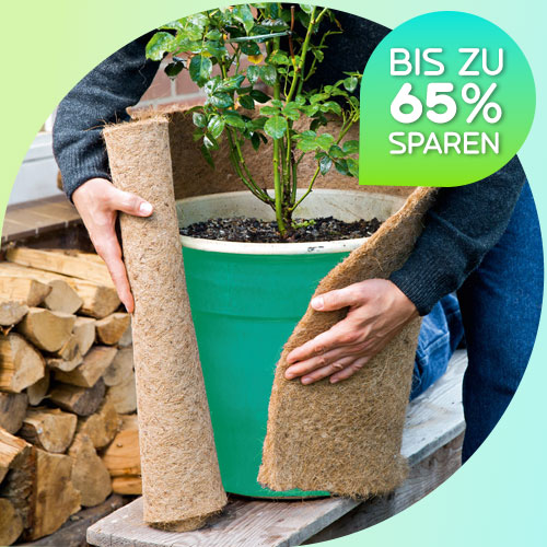 Pflanzenschutz bei Frost