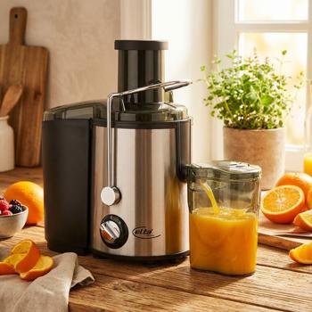 Electric juicer with stainless steel micro filter, 0.8L, 350W - fruit and vegetable juicer in silver/black, high-quality design, easy operation & maximum juice yield