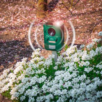 Preview: set di 2 repellenti solari universali per animali con ultrasuoni e luce lampeggiante, portata 10 m, efficaci, rispettosi degli animali e dell‘ambiente