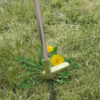 Preview: Ergonomischer Unkrautstecher 100cm: Rückenschonendes Jäten ohne Bücken & Chemie, robuster Löwenzahnstecher für Rasen & Garten