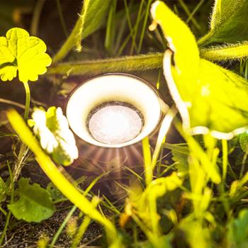 Preview: Efficaci faretti solari da giardino a LED con 10 spot a terra: Illuminano piante, cespugli e alberi