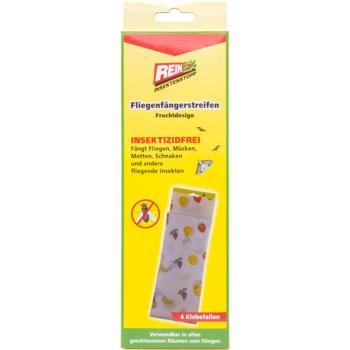 Flypaper strips fruit design: 4 premium sticky traps for reliable protection. Simple & clean fly and mosquito trap