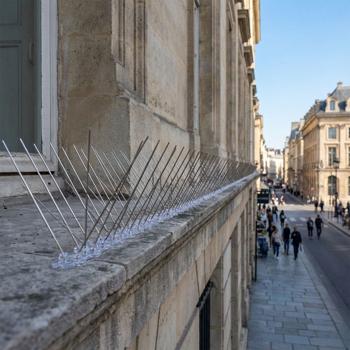 Preview: Effective set of 5 pigeon deterrent spikes, 3-row stainless steel, 2.5 m – individually adjustable – robust defence spikes for optimal bird protection