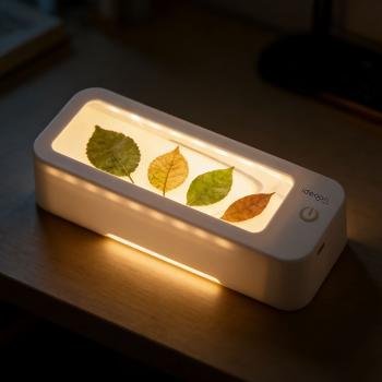 Preview: LED reading magnifier with 3x magnification, dimmable, 3 light colours 3000–6500 K, battery up to 10 h, USB-C, ideal for seniors & impaired vision, illuminated visual aid