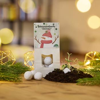 Preview: Unique Snowman Bellies: 8 Fantastic Seed Bombs for a Blooming, Beautiful Bee Meadow - Perfect as a Christmas Gift