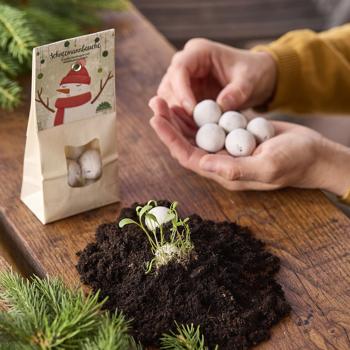 Preview: Unique Snowman Bellies: 8 Fantastic Seed Bombs for a Blooming, Beautiful Bee Meadow - Perfect as a Christmas Gift