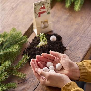 Preview: Unique Snowman Bellies: 8 Fantastic Seed Bombs for a Blooming, Beautiful Bee Meadow - Perfect as a Christmas Gift