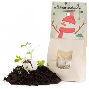 Unique Snowman Bellies: 8 Fantastic Seed Bombs for a Blooming, Beautiful Bee Meadow - Perfect as a Christmas Gift