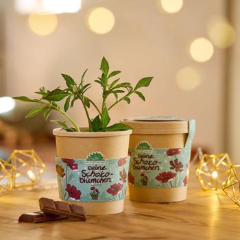 Preview: Beautiful Chocolate Flower Grow Kit in a Cup – Start your fragrant hobby for balcony & windowsill – Original Christmas gift