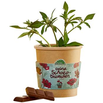 Beautiful Chocolate Flower Grow Kit in a Cup – Start your fragrant hobby for balcony & windowsill – Original Christmas gift