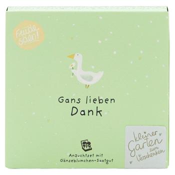Charmantes Gänseblümchen-Pflanzset "Gans lieben Dank" – Einzigartiges Geschenk & Bedanken, das wächst & lange Freude schenkt - Perfekt für Weihnachten