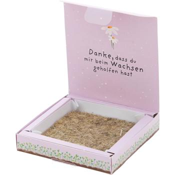 Preview: Kit de marguerites des prés “Merci de m‘avoir aidé à grandir“ – Cadeau unique et remerciement qui pousse et offre une joie durable