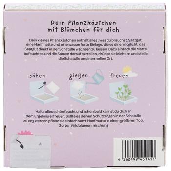 Preview: Kit de marguerites des prés “Merci de m‘avoir aidé à grandir“ – Cadeau unique et remerciement qui pousse et offre une joie durable