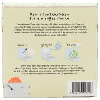 Preview: Süsses Erdbeeren-Set 