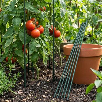 Preview: Sturdy plant stakes, set of 6, extendable up to 80 cm: practical supports and the perfect climbing aid for home, garden, balcony & terrace