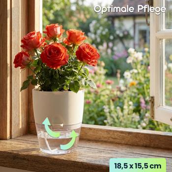 Preview: 6er-Set Blumentopf selbstbewässernd 18.5cm aus Kunststoff: modernes Pflanzgefäss mit Bewässerungssystem - Wasserspeicher & Docht für Zimmerpflanzen