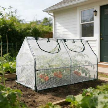 Preview: Foil greenhouse 120x60x60 cm, tomato house with A-roof, 16 mm galvanized steel, 140 g/m² PE film, UV protection & 2 windows with zipper