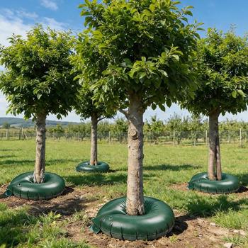 Set of 4 tree irrigation rings, 55 L each for shrubs & trees – irrigation bags made of robust PVC – UV-resistant – trunk circumference up to 30 cm – drip system