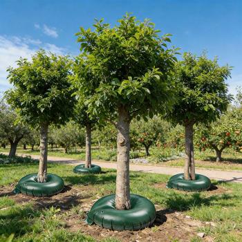 Preview: Set of 4 tree irrigation rings, 55 L each for shrubs & trees – irrigation bags made of robust PVC – UV-resistant – trunk circumference up to 30 cm – drip system