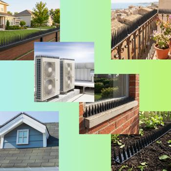 Preview: 24er Set Taubenspikes Schwarz 10,8m - Effektive Vogelabwehr aus Polycarbonat - 3-reihige Abwehrspikes gegen Tauben, Möwen, Marder, Katzen & Eichhörnchen