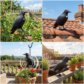 Preview: Set of 2 realistic crow bird deterrents with sound: battery-powered raven bird scarer for effective bird control. Natural crow sounds for deterrence