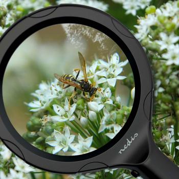 Loupe à main avec éclairage LED, grossissement de 5X-12X pour lecture
