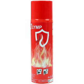 Preview: 2er-Set Feuerlösch Spray (500ml) für Küche, Haus, Camping – Universal Feuerlöscher, Einfache Bedienung, Kühlt effektiv, Geprüft nach BS 6165:2002 – Maximale Sicherheit