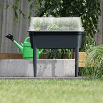 Preview: Serra compatta antracite 47 l, stazione di semina con coperchio e gambe: box per semina, robusta e portatile per piante