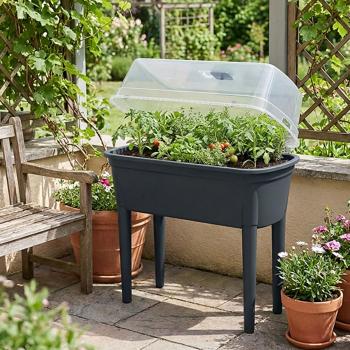 Preview: Serra compatta antracite 47 l, stazione di semina con coperchio e gambe: box per semina, robusta e portatile per piante