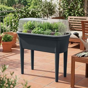 Serra compatta antracite 47 l, stazione di semina con coperchio e gambe: box per semina, robusta e portatile per piante