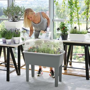 Preview: Praktisches Gewächshaus Anthrazit 52 Liter: Hochbeet mit Deckel und Belüftung, Anzuchtkasten für Outdoor - Stabil, Wetterfest & Rückenschonend