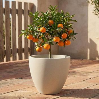 Bac à plantes rond moderne Ø58 cm sable, pot de fleurs 86L en plastique pour intérieur & extérieur, résistant au gel & aux UV, poids léger