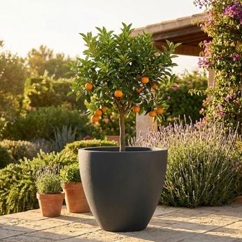 Pot de fleurs rond 58 cm, graphite – Grand contenant pour plantes pour l’extérieur et l’intérieur – Look moderne & design élégant pour le jardin et la terrasse