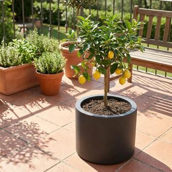 Pot de fleurs rond moderne Ø47 cm anthracite, bac à plantes 40L en plastique pour intérieur & extérieur, résistant au gel et aux UV, léger