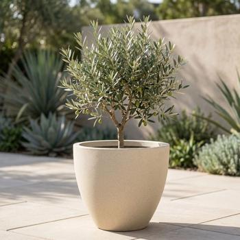 Preview: 2er-Set Moderner Pflanzkübel Rund Ø38cm in Sand, Blumentopf 23L aus Kunststoff für Innen & Aussen, Frostsicher & UV-Beständig, Leichtgewicht