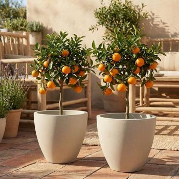 Lot de 2 jardinières rondes modernes Ø58 cm sable, pots de fleurs 86 L en plastique pour intérieur & extérieur, résistants au gel & aux UV, légers