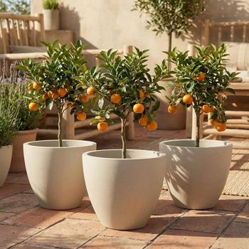 Lot de 3 bacs à plantes ronds modernes Ø58 cm sable, pots de fleur 86L en plastique pour intérieur & extérieur, résistant au gel & aux UV, léger