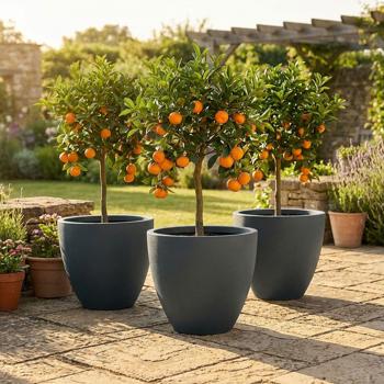 Lot de 3 pots de fleurs ronds 58 cm, graphite – Grand contenant pour plantes pour l’extérieur et l’intérieur – Look moderne & design raffiné pour jardin et terrasse