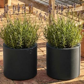 Lot de 2 pots de fleurs ronds modernes Ø38 cm anthracite, bac de plantation 19 L en plastique pour intérieur & extérieur, résistant au gel & aux UV, léger