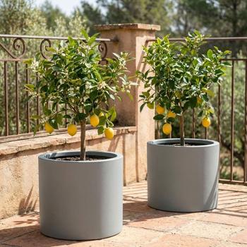 Lot de 2 pots de fleurs ronds modernes Ø47 cm gris béton, bac à plantes 40L en plastique pour intérieur & extérieur, résistant au gel et aux UV, léger