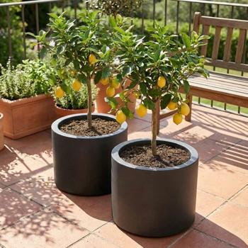 Lot de 2 pots de fleurs ronds modernes Ø47 cm anthracite, bac à plantes 40 L en plastique pour intérieur & extérieur, résistant au gel et aux UV, poids léger