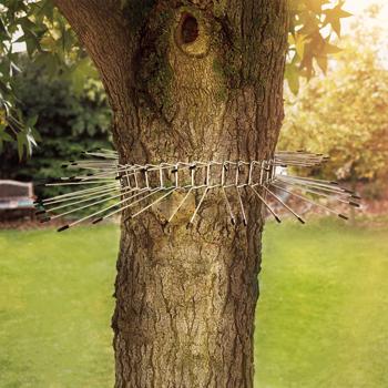 Preview: Cat deterrent belt: Effective cat scarer & climbing protection for trees – Safe bird protection for nest box & nest, up to 74 cm