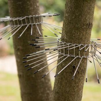 Set of 2 cat deterrent belts: Effective cat scarer & climbing guard for trees – Safe bird protection for nest boxes & nests, up to 74 cm