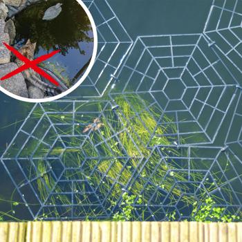 Preview: Reliable heron and cat protection for garden ponds: set of 20 floating hexagonal pond protection grids