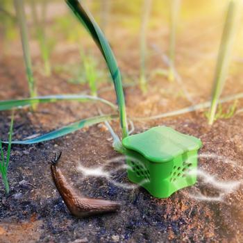 Preview: Diffuseurs anti-limaces efficaces pour massifs, lot de 6 : protection biologique à base de café, barrière anti-limaces ingénieuse pour le jardin