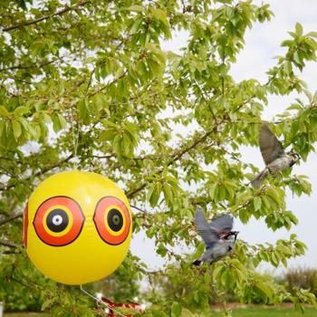 Preview: Ballon effaroucheur d’oiseaux lot de 2 : protection efficace contre oiseaux et hérons pour jardin, étang, balcon et arbres – Protection flexible