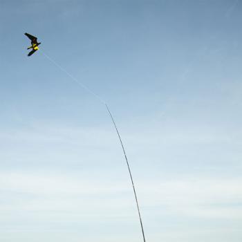 Preview: Set cerf-volant répulsif oiseaux : grand épouvantail volant avec mât télescopique robuste en fibre de verre de 9 m pour jardins, champs et étangs à poissons