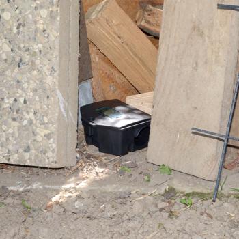 Preview: Boîte à appâts sécurisée : station d’appât verrouillable pour souris et rats. Boîte pour pièges robuste en plastique avec fenêtre de contrôle – hygiénique