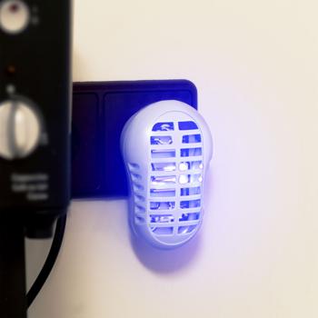 Preview: Piège électrique à mouches des fruits avec UV à prise – destructeur de mouches des fruits efficace, lampe anti‑insectes pour la cuisine et les pièces intérieures – sans insecticide